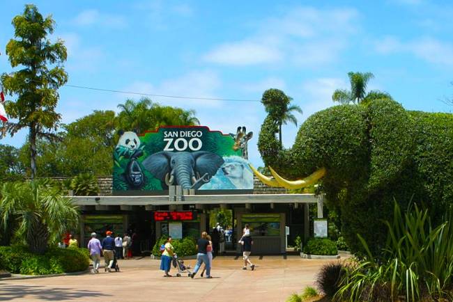 世界最大的动物园排名 第一名来自德国，北京动物园位列第四