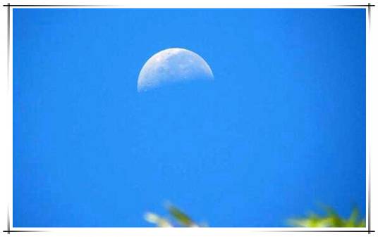 月亮白天为什么会出现?白天看到月亮原理是什么