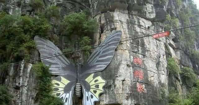 中国最美蝴蝶泉,成千上万的蝴蝶来赴会