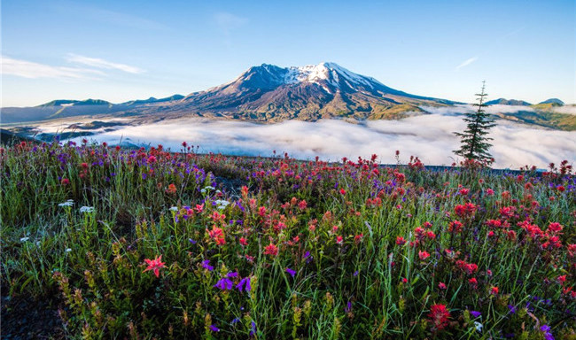 世界十大最令人惊叹的火山 日本富士山排名第一