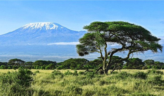 世界十大最令人惊叹的火山 日本富士山排名第一