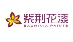 Bauhinia紫荆花漆